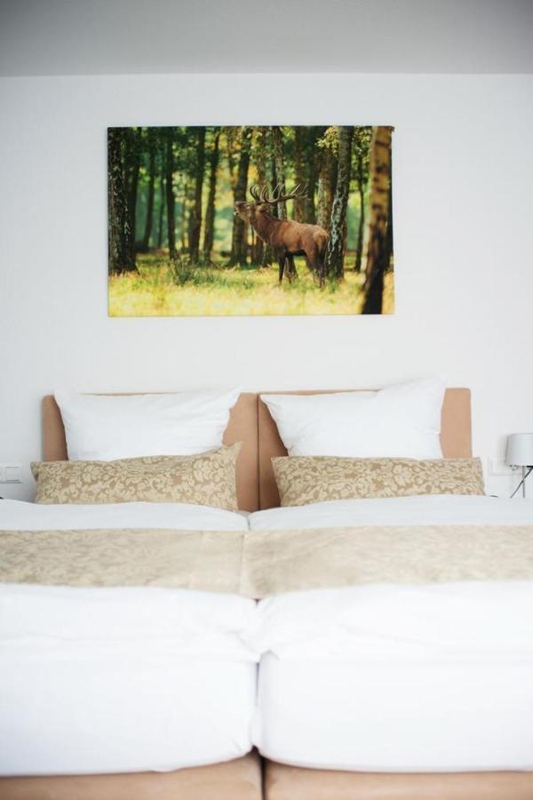 Hotel Auerhahn Nest Bad Wildbad Exterior foto